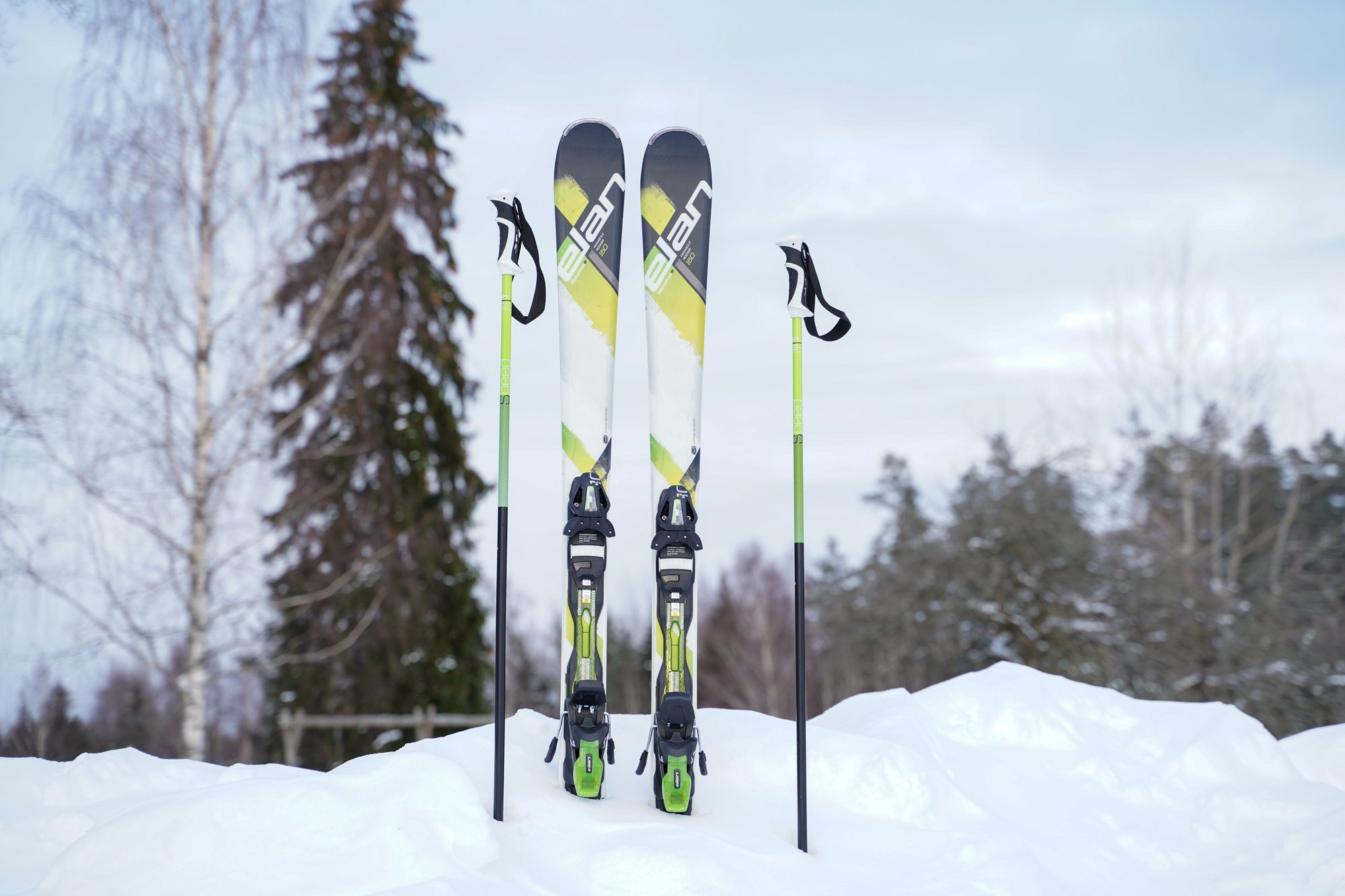 A pair of skis and poles standing upright in fresh snow at the edge of a wooded slope.